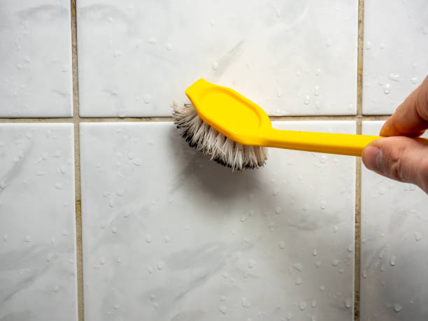 Best Best Mold Removal Companies  in La Grulla, TX