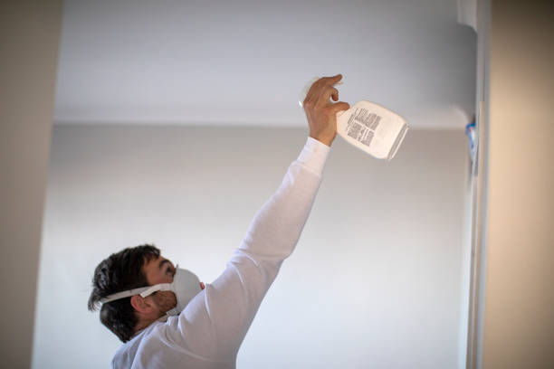 Best Fast Mold Removal  in La Grulla, TX