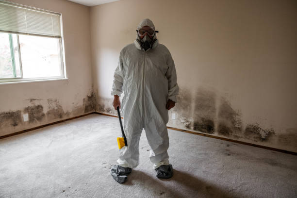 Best Crawl Space Mold Removal  in La Grulla, TX